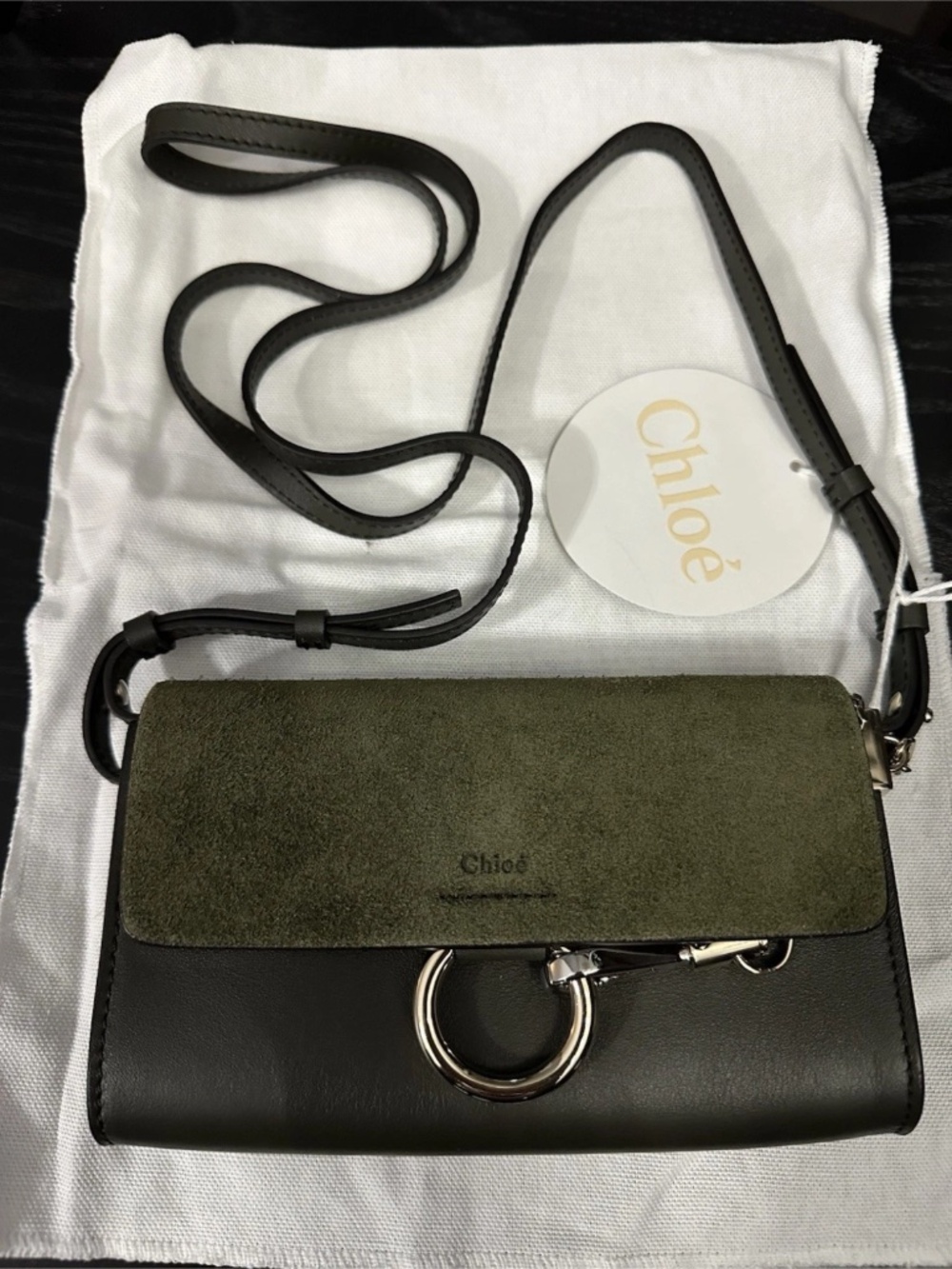 Chloe Faye Bag Mini Deep Forest NWT $795